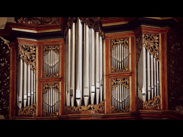 Bach: Capriccio sopra la lontanza BWV 992 [Organ: Schnitger]