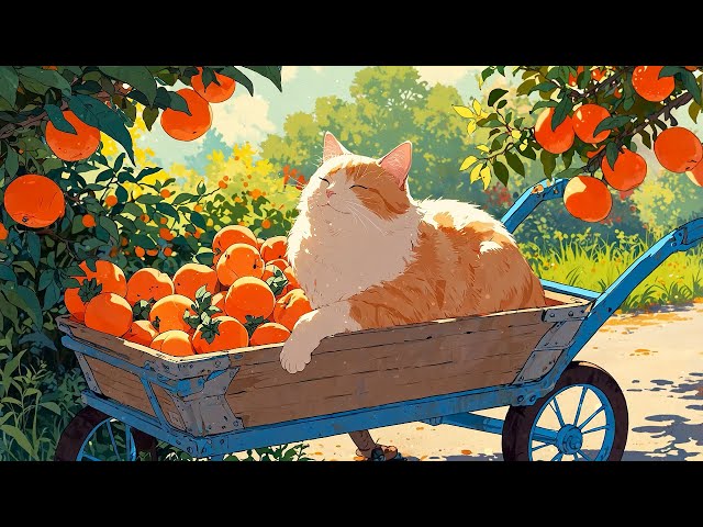 Lazy Like A Cat 🍊 Lofi Morning Vibes 🍊 Fall Lofi Songs To Make You Enjoy The Autumn Morning Vibes