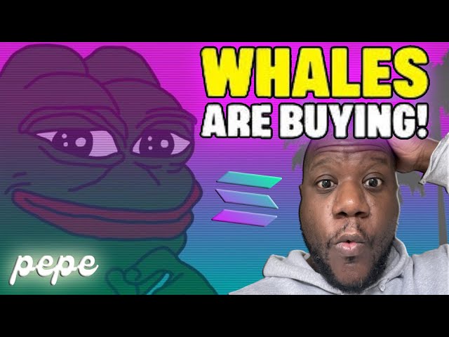 MEGA WHALES ARE BUYING *PEPE* ON SOLANA RIGHT NOW! #pepe