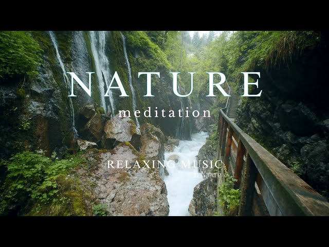 Relaxing Waterfall and Meditation Music | Nature Sounds