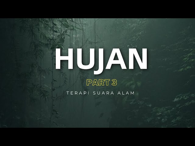 SUARA HUJAN TERBAIK UNTUK TIDUR | TERAPI INSOMNIA | PINK NOISE | - 3