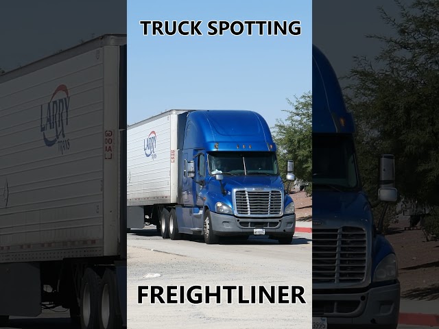 TRUCK SPOTTING #01807 / FREIGHTLINER #automobile #semitrailer #trucking