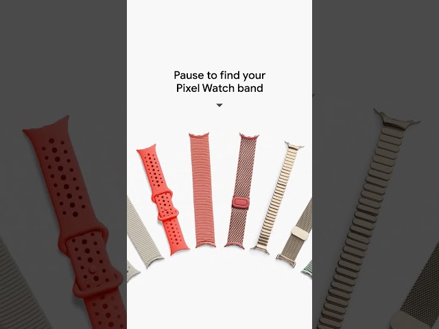 Take these #PixelWatch bands for a spin. #TeamPixel, which one lands with you?