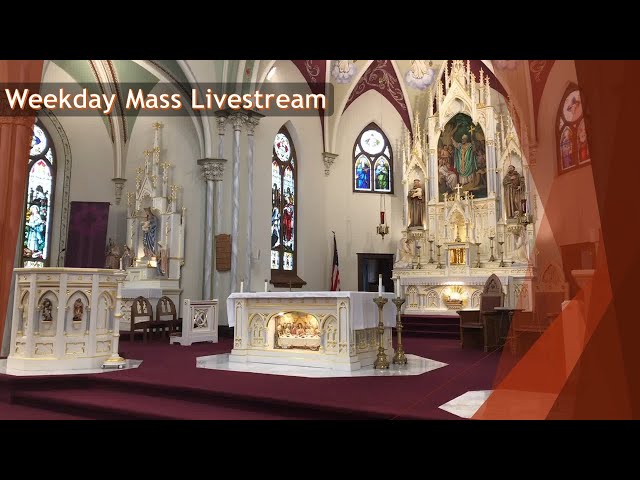 Weekday Mass Livestream with Benediction - Fri of the 10th Week in Ordinary Time