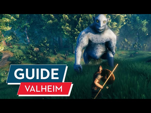 Valheim Einsteiger-Guide : Tipps für neue Wikinger