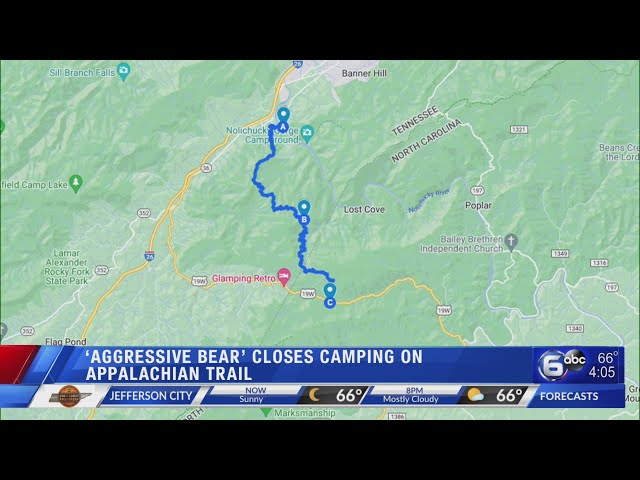 Aggressive bear' closes camping on Appalachian Trail