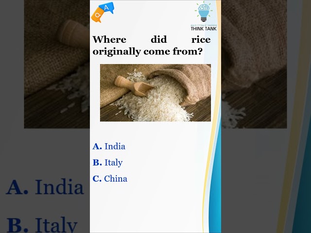 GK Quiz on Rice originated from #viral #gk #shorts #trending #ssc #india #vitamin #rice