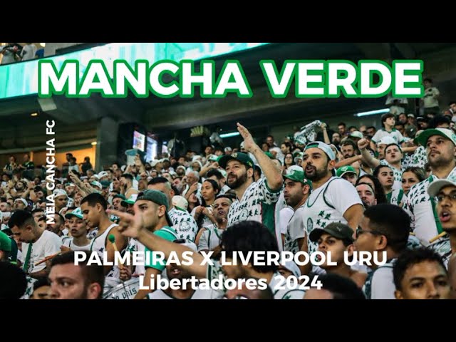 Meia Cancha FC / Mancha Verde. Palmeiras x Liverpool URU. Copa Libertadores 2024.