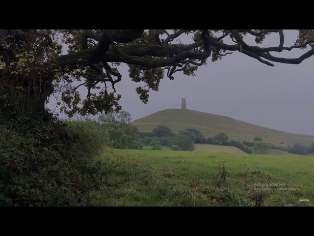 Rain Sounds For Sleeping And Relaxing | Rain In The Green Field