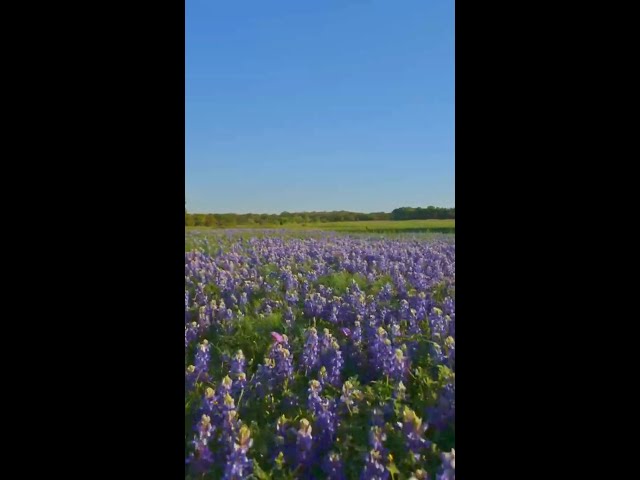 Baird Miller Creek Ranch