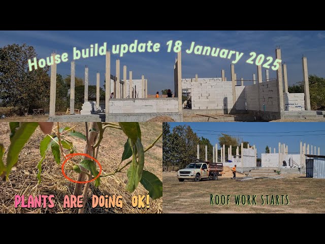 House update 18 January 2025