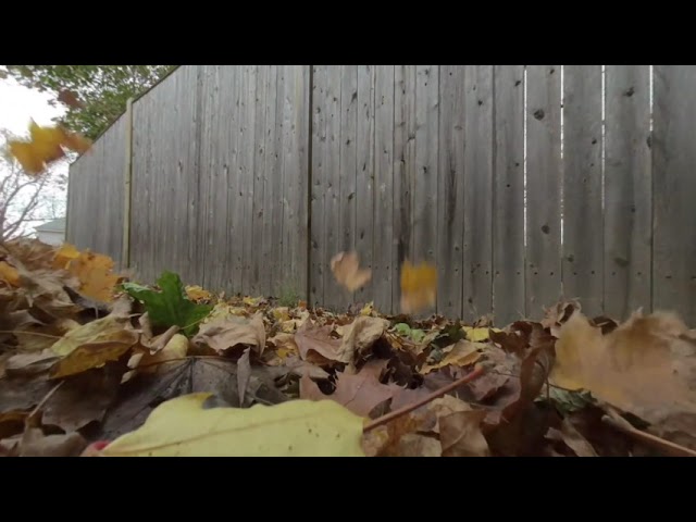 Leaf Blow - 3D VR180 - ASMR