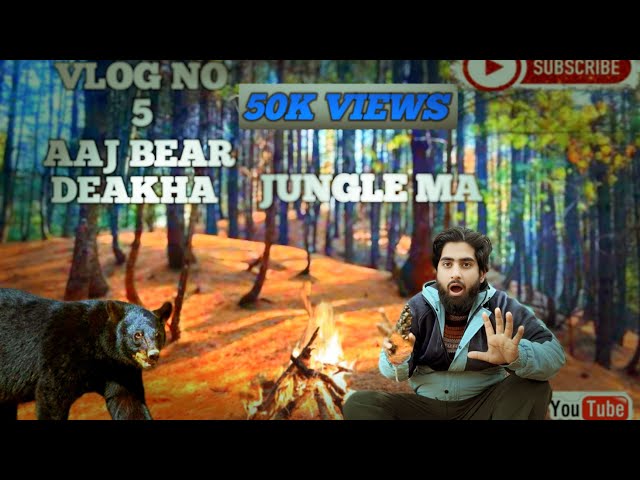 Aaj pahadoo k par kya mila ||jungle vlog no5||beautiful place to visit in kashmir||bear spotted