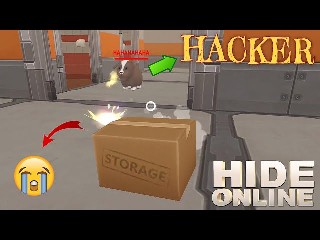 1 Hacker in 2 Matches 🥲 | Hide online Funny Gameplay 🤣 #187