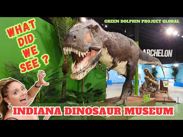 Great Adventures at the Indiana Dinosaur Museum!