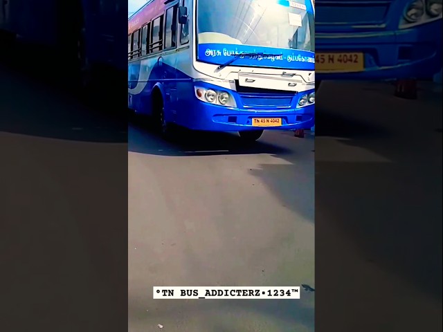 𝘽𝙇𝙐𝙀🔵 𝙏𝙉𝙎𝙏𝘾 𝙒𝙄𝙏𝙃 𝙉𝙀𝙒 𝙋𝘼𝙄𝙉𝙏 |Bus videos#bus #mass #entry #song #reels #tamil ...