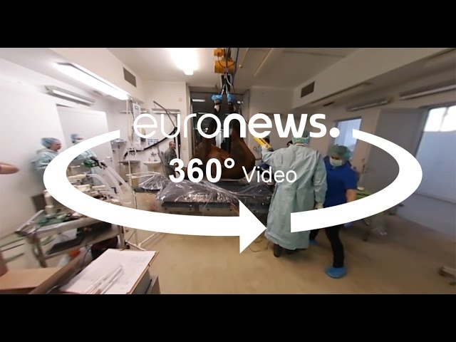 A 360° visit to the horse hospital