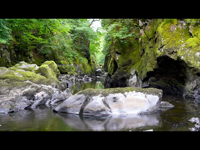 4k UHD Fairy Glen Wales. Mountain River, Calm Water Sounds, Nature White Noise for Sleep, Relaxation