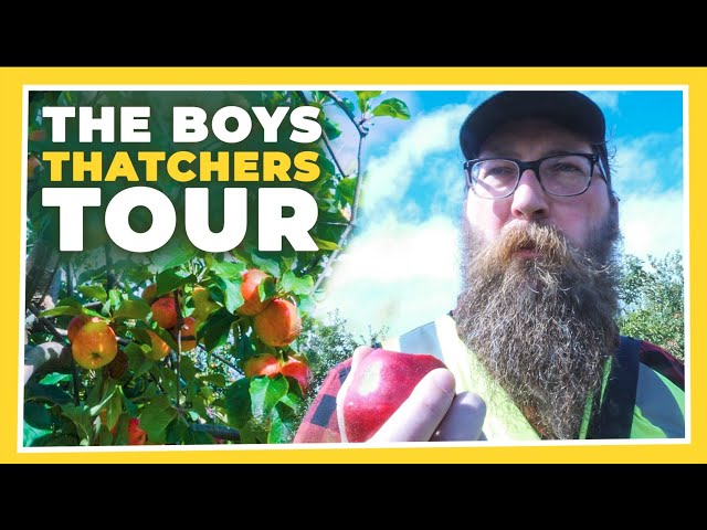 Three cider-obsessed men tour a Cider Farm | w/ Tom, Pyrion & Harry