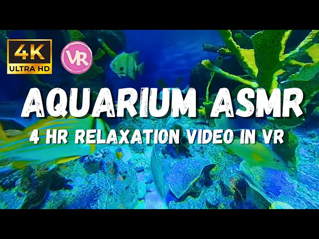 4K Underwater relaxation, coral reefs and tropical fish asmr