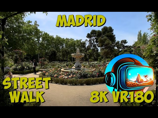 14 Madrid Spain El Retiro Park walking through the Rose Garden La Rosaleda 8K 4K VR180 3D Travel