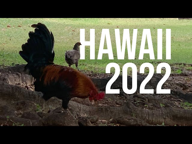 Spring Break 2022 in HAWAII