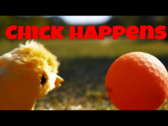 Chick Happens | Short Film 2024(LUMIX G7) Student Indie Microfilm