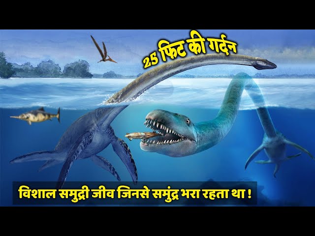 समुद्र की गहराई में पाए जाने वाले सबसे Vishaal जीव || 9 Incredibly Huge Sea Creatures Ever Known