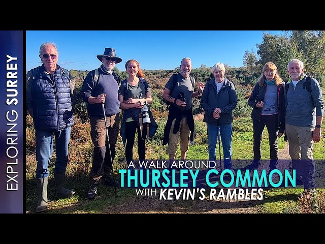 A Walk Around THURSLEY COMMON With KEVIN’S RAMBLES