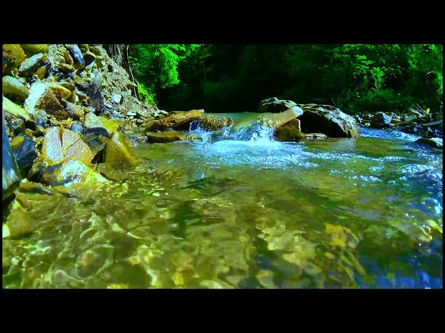 Deep Sleep & Focus : The Brain's Response to Babbling Brook Sounds - Babbling Brooks Calm Your Mind