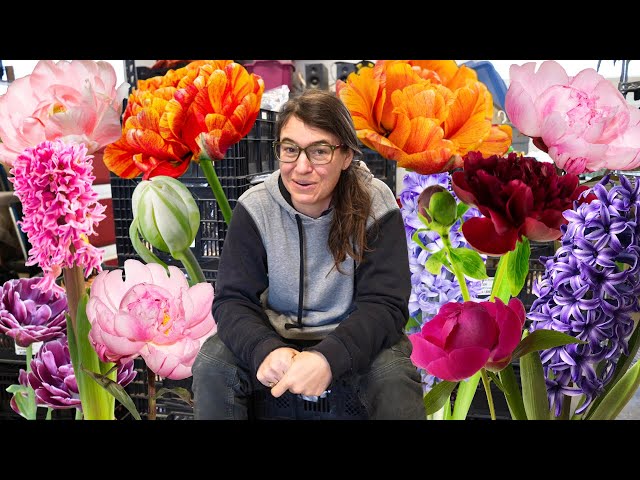 Tulips, Hyacinths, and Peony Abundance | Fall Bulb Unboxing