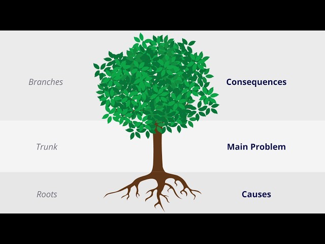 Step 1: Identifying the focal issue with ‘Problem Tree Analysis’ technique