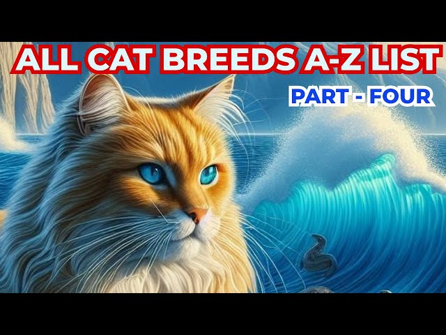 Cat Breeds Guide A - Z  List ( PART - 4) #catbreeds #cats