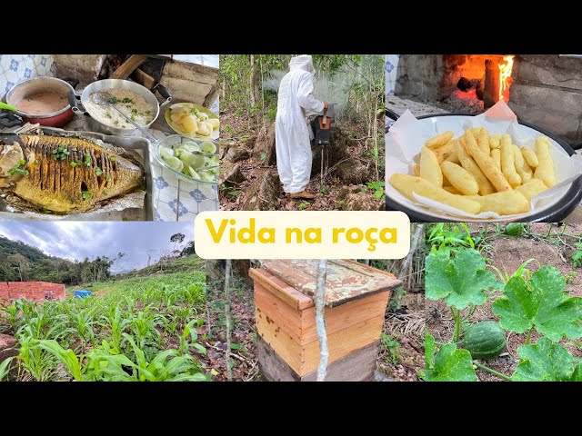 Dia produtivo na roça Almoço fogão a lenha/ captura de abelha/Construcao do sítio biscoito polvilho