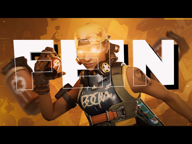 FEiN | #16 Valorant Montage.