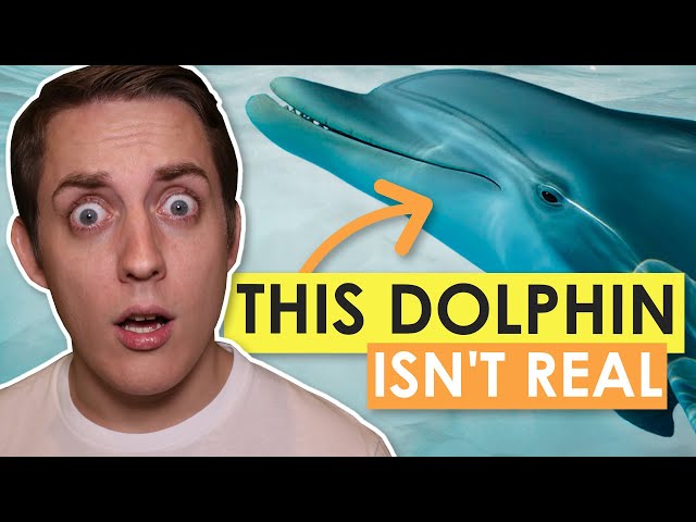 This Dolphin Isn't Real