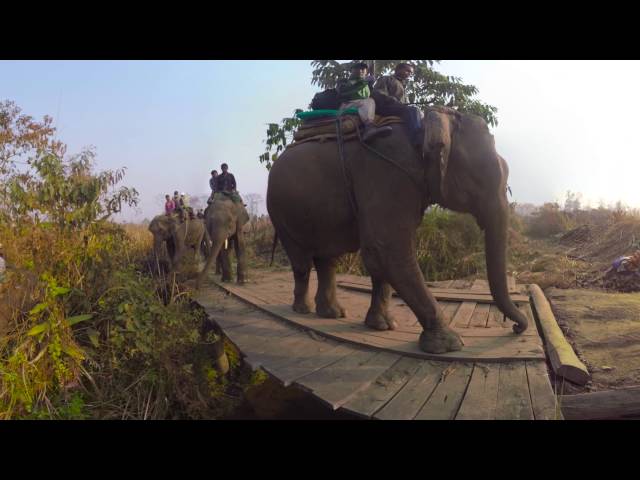 Nepal rhino translocation (360 video)