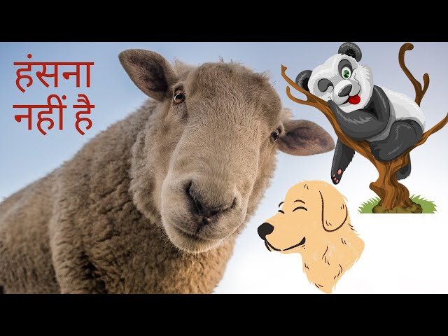 Funny animals 🐅|| Cutest Animals 😂| प्यारा जानवर || हंसना मना है