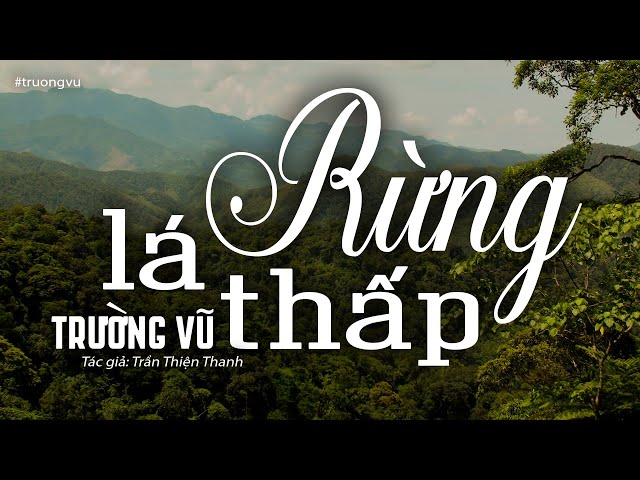 Rừng Lá Thấp - Trường Vũ (Tác giả: Trần Thiện Thanh) | Nhạc Vàng Xưa Bất Hủ