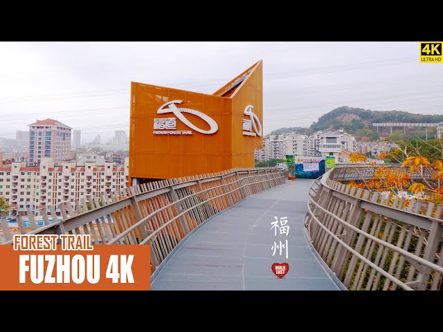 Walking In Fuzhou Treetop Walkway | 4K HDR | Fujian Province, China | 福州福道