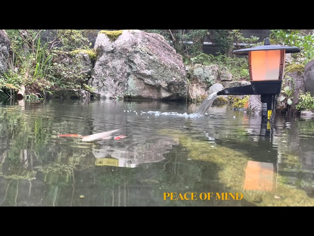 RELAXING JAPANESE LITTLE GARDEN FOUNTAIN SOUND