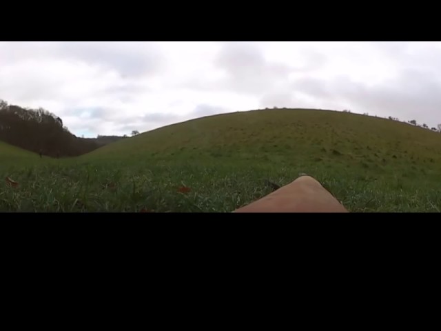 warter priory 360 cam UNEDITED Paradise Drive pheasants & Partridge