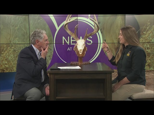 Ohio Division of Wildlife talks deer season; what you need to know