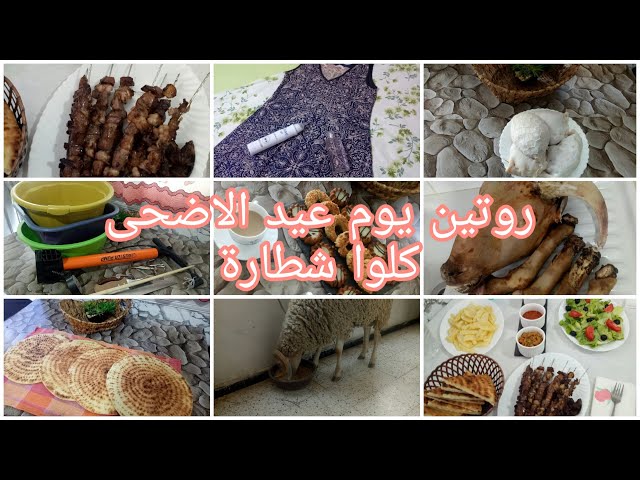 روتين امرأةجزائرية نهارعيد الاضحى🐑كيفاش فوت العيد والاعمال لي قمت بيهافوتوانهار كامل معايا ياالفحلات