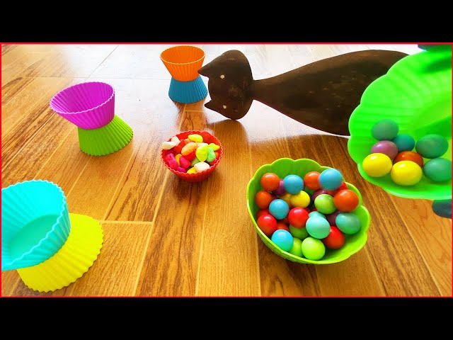 Engaging reverse marble run race video for ASMR fans #marbles #ASMR