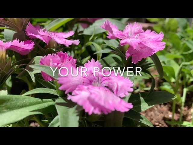 "Your Power" (Billie Eilish surf cover)