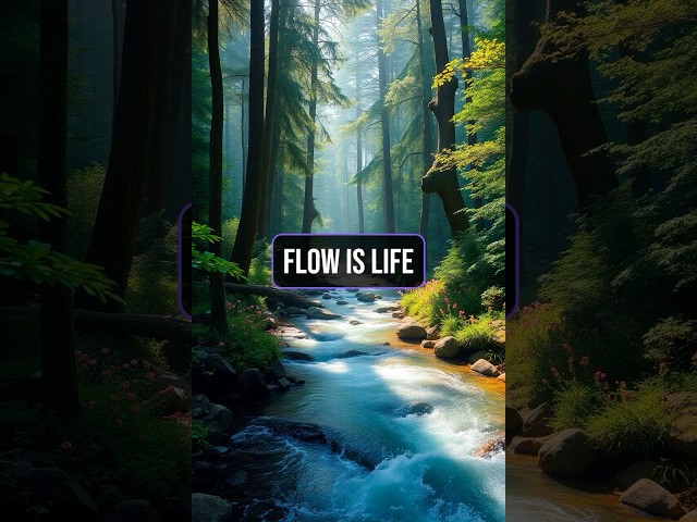 Flow is Life - Inspirational Quote