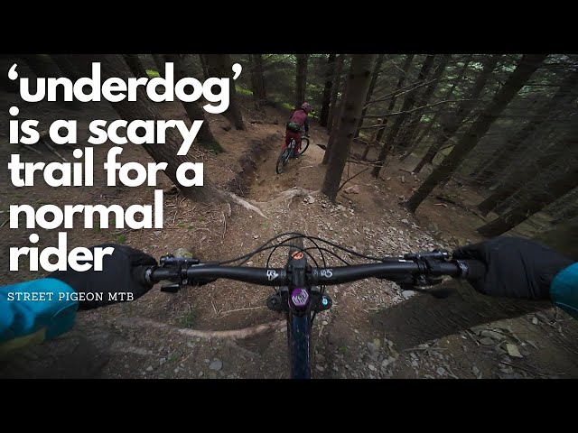 Scotland's most talked about Enduro location has some scary trails!