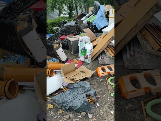 The interesting world of garbage #dumpsterdiving #dumpster #bulkywaste #junkpile