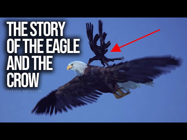 A Powerful Story About Rising Above Negativity (THE EAGLE and CROW)